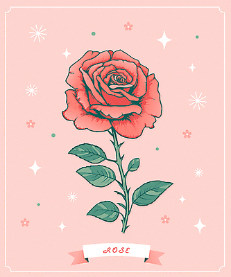 꽃 분홍색 일러스트 사람없음 반짝임 장미 봄 5월 오브젝트 성년의날 국내일러스트 AI파일 식물 계절 기념일 컬러 모션 날짜 파일형식 벡터