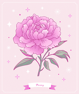 꽃 분홍색 일러스트 사람없음 반짝임 오브젝트 작약 국내일러스트 AI파일 식물 컬러 모션 파일형식 벡터