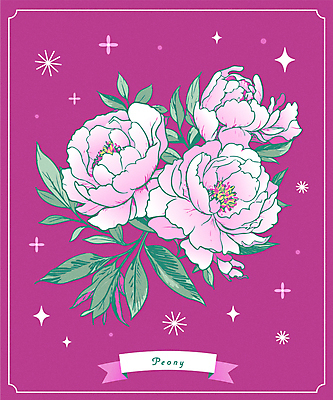 꽃 일러스트 사람없음 반짝임 자주색 오브젝트 작약 국내일러스트 AI파일 식물 컬러 모션 파일형식 벡터