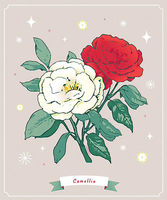 꽃 겨울 일러스트 사람없음 빨간색 반짝임 흰색 오브젝트 동백 백동백 국내일러스트 AI파일 식물 계절 컬러 모션 파일형식 벡터