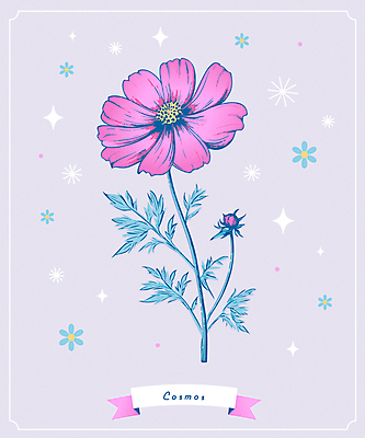 꽃 일러스트 사람없음 반짝임 가을 오브젝트 코스모스 연보라색 국내일러스트 AI파일 식물 계절 모션 보라색 파일형식 벡터