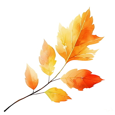 JPG 단풍 낙엽 잎 일러스트 수채화 사람없음 주황색 가을 오브젝트 엘리먼트 국내일러스트 AI일러스트 AI콘텐츠 식물 계절 컬러 파일형식