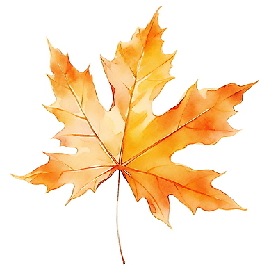 JPG 단풍 낙엽 잎 일러스트 수채화 사람없음 주황색 가을 오브젝트 엘리먼트 국내일러스트 AI일러스트 AI콘텐츠 식물 계절 컬러 파일형식