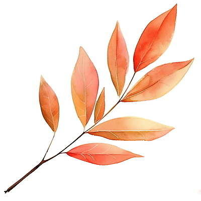 JPG 단풍 낙엽 잎 일러스트 수채화 사람없음 주황색 가을 오브젝트 엘리먼트 국내일러스트 AI일러스트 AI콘텐츠 식물 계절 컬러 파일형식