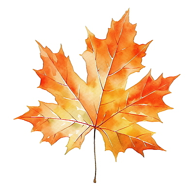 JPG 단풍 낙엽 잎 일러스트 수채화 사람없음 주황색 가을 오브젝트 엘리먼트 국내일러스트 AI일러스트 AI콘텐츠 식물 계절 컬러 파일형식