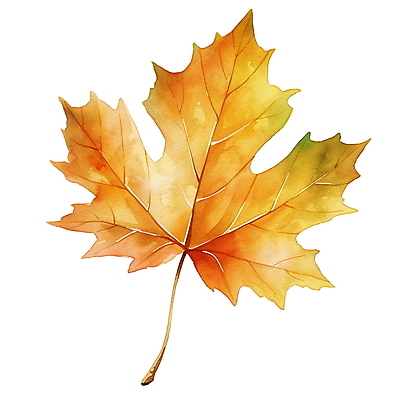 JPG 단풍 낙엽 잎 일러스트 수채화 사람없음 주황색 가을 오브젝트 엘리먼트 국내일러스트 AI일러스트 AI콘텐츠 식물 계절 컬러 파일형식