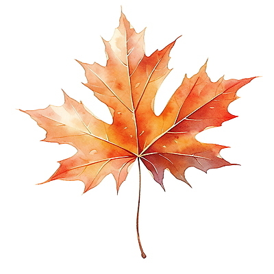 JPG 단풍 낙엽 잎 일러스트 수채화 사람없음 주황색 가을 오브젝트 엘리먼트 국내일러스트 AI일러스트 AI콘텐츠 식물 계절 컬러 파일형식