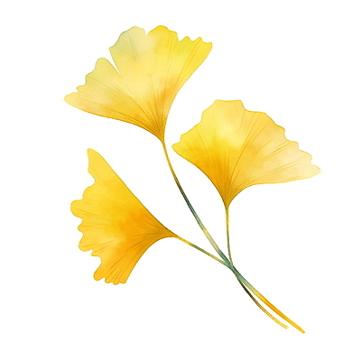 JPG 낙엽 잎 일러스트 수채화 사람없음 노란색 가을 오브젝트 은행잎 엘리먼트 국내일러스트 AI일러스트 AI콘텐츠 식물 계절 컬러 파일형식