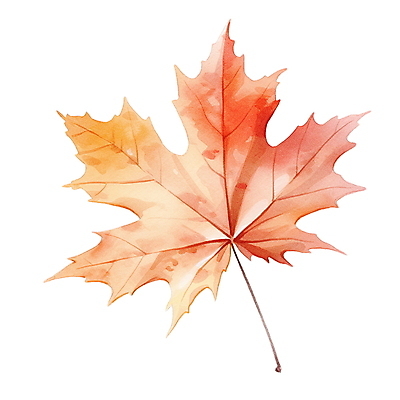 JPG 단풍 낙엽 잎 일러스트 수채화 사람없음 주황색 가을 오브젝트 엘리먼트 국내일러스트 AI일러스트 AI콘텐츠 식물 계절 컬러 파일형식