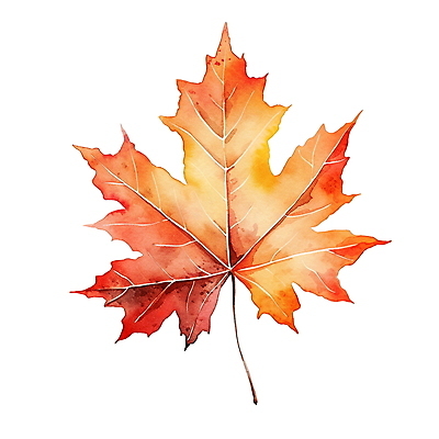 JPG 단풍 낙엽 잎 일러스트 수채화 사람없음 주황색 가을 오브젝트 엘리먼트 국내일러스트 AI일러스트 AI콘텐츠 식물 계절 컬러 파일형식