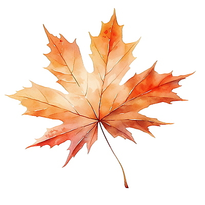 JPG 잎 일러스트 사람없음 주황색 엘리먼트 국내일러스트 AI일러스트 AI콘텐츠 식물 컬러 파일형식