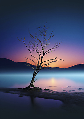 JPG 나무 편집이미지 추상 풍경 사람없음 반사 유행 보라색 수면 신비 남색 이미지 그라데이션 색감 편집실사 AI컴퓨터그래픽 AI콘텐츠 식물 컬러 컨셉 무늬 물 CG 파일형식