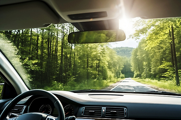 JPG 주간 나무 편집이미지 행복 도로 여유 여행 자동차 자연 휴식 풍경 사람없음 야외 빛 드라이브 차안 운전석 편집실사 AI포토 AI콘텐츠 자연요소 식물 감정 길 육상교통 컨셉 교통시설 운전 CG 생태계 파일형식