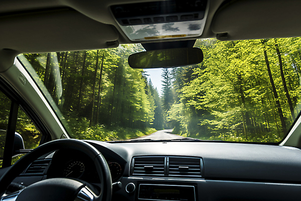 JPG 주간 나무 편집이미지 행복 도로 여유 여행 자동차 자연 휴식 풍경 사람없음 야외 드라이브 차안 운전석 편집실사 AI포토 AI콘텐츠 자연요소 식물 감정 길 육상교통 컨셉 교통시설 운전 CG 생태계 파일형식