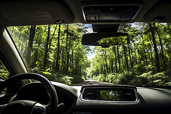 JPG 주간 나무 편집이미지 행복 도로 여유 여행 자동차 자연 휴식 풍경 사람없음 야외 드라이브 차안 운전석 편집실사 AI포토 AI콘텐츠 자연요소 식물 감정 길 육상교통 컨셉 교통시설 운전 CG 생태계 파일형식