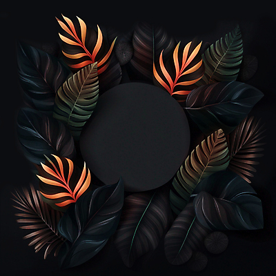 JPG 식물 일러스트 나뭇잎 프레임 사람없음 검은색 열대식물 카피스페이스 트로피컬아트 국내일러스트 AI일러스트 AI콘텐츠 컬러 잎 공백 그림 파일형식