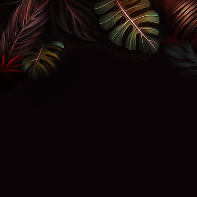 JPG 식물 일러스트 나뭇잎 프레임 사람없음 검은색 열대식물 카피스페이스 트로피컬아트 국내일러스트 AI일러스트 AI콘텐츠 컬러 잎 공백 그림 파일형식