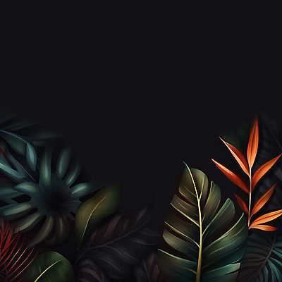 JPG 식물 일러스트 나뭇잎 프레임 사람없음 검은색 열대식물 카피스페이스 트로피컬아트 국내일러스트 AI일러스트 AI콘텐츠 컬러 잎 공백 그림 파일형식