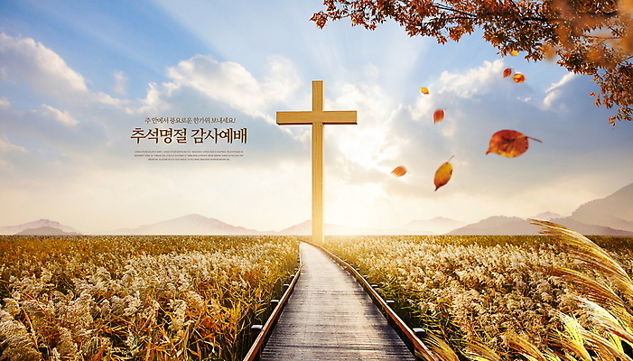 PSD 구름 편집이미지 기독교 길 십자가 단풍 낙엽 하늘 단풍나무 갈대 풍경 사람없음 빛 햇빛 추석 가을 예배 갈대밭 데크 중추절 이미지편집 자연요소 나무 식물 계절 명절 종교 잎 태양 중국 파일형식 갈대_식물