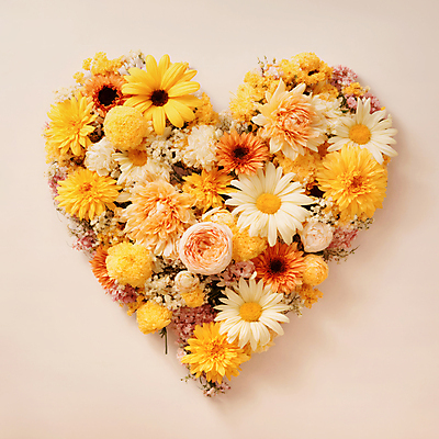 JPG 편집이미지 꽃 사랑 사람없음 노란색 하트 편집실사 AI포토 AI콘텐츠 모양 식물 감정 컬러 CG 파일형식