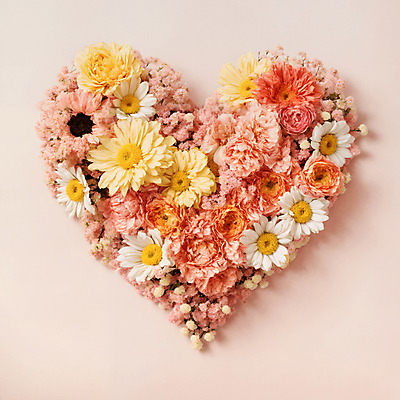 JPG 편집이미지 꽃 분홍색 사랑 사람없음 하트 편집실사 AI포토 AI콘텐츠 모양 식물 감정 컬러 CG 파일형식