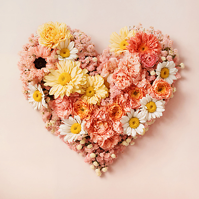 JPG 편집이미지 꽃 분홍색 사랑 사람없음 하트 편집실사 AI포토 AI콘텐츠 모양 식물 감정 컬러 CG 파일형식