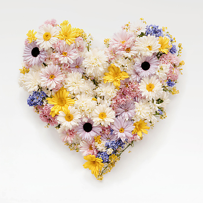 JPG 편집이미지 꽃 사랑 사람없음 컬러풀 하트 편집실사 AI포토 AI콘텐츠 모양 식물 감정 컬러 CG 파일형식