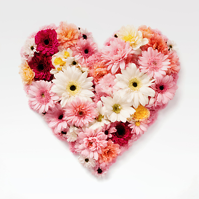 JPG 편집이미지 꽃 분홍색 사랑 사람없음 하트 편집실사 AI포토 AI콘텐츠 모양 식물 감정 컬러 CG 파일형식