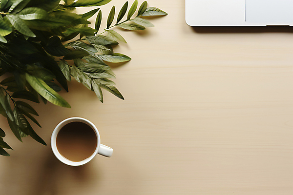 JPG 식물 편집이미지 화분 잎 비즈니스 사람없음 커피잔 오브젝트 베이지색 카피스페이스 편집실사 AI포토 AI콘텐츠 커피 컬러 잔 공백 CG 파일형식