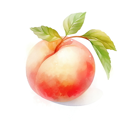 JPG 분홍색 과일 일러스트 나뭇잎 여름음식 수채화 사람없음 여름 오브젝트 복숭아 국내일러스트 AI일러스트 AI콘텐츠 계절 음식 컬러 잎 파일형식 여름_계절