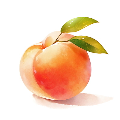 JPG 과일 일러스트 나뭇잎 여름음식 수채화 사람없음 여름 주황색 오브젝트 복숭아 국내일러스트 AI일러스트 AI콘텐츠 계절 음식 컬러 잎 파일형식 여름_계절