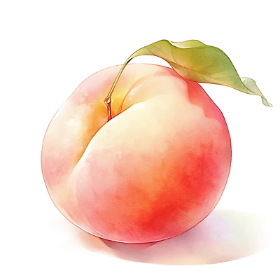 JPG 분홍색 과일 일러스트 여름음식 수채화 사람없음 여름 오브젝트 복숭아 국내일러스트 AI일러스트 AI콘텐츠 계절 음식 컬러 파일형식 여름_계절