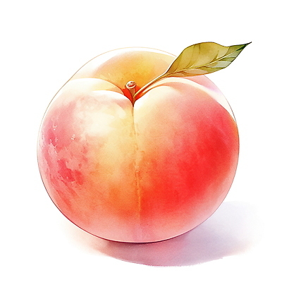 JPG 분홍색 과일 일러스트 나뭇잎 여름음식 수채화 사람없음 여름 오브젝트 복숭아 국내일러스트 AI일러스트 AI콘텐츠 계절 음식 컬러 잎 파일형식 여름_계절