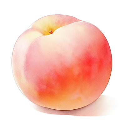 JPG 분홍색 과일 일러스트 여름음식 수채화 사람없음 여름 오브젝트 복숭아 국내일러스트 AI일러스트 AI콘텐츠 계절 음식 컬러 파일형식 여름_계절