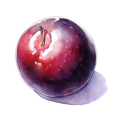 JPG 과일 일러스트 여름음식 수채화 사람없음 여름 보라색 오브젝트 자두 국내일러스트 AI일러스트 AI콘텐츠 계절 음식 컬러 파일형식 여름_계절