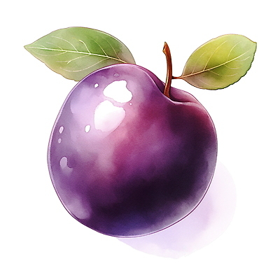 JPG 과일 일러스트 나뭇잎 여름음식 수채화 사람없음 여름 보라색 오브젝트 자두 국내일러스트 AI일러스트 AI콘텐츠 계절 음식 컬러 잎 파일형식 여름_계절