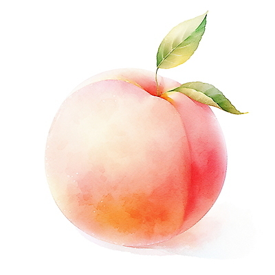 JPG 분홍색 과일 일러스트 나뭇잎 여름음식 수채화 사람없음 여름 오브젝트 복숭아 국내일러스트 AI일러스트 AI콘텐츠 계절 음식 컬러 잎 파일형식 여름_계절