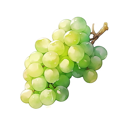 JPG 과일 일러스트 포도 여름음식 수채화 사람없음 초록색 여름 오브젝트 청포도 국내일러스트 AI일러스트 AI콘텐츠 계절 음식 컬러 파일형식 여름_계절