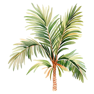 JPG 일러스트 수채화 사람없음 초록색 여름 야자수 보테니컬아트 트로피컬아트 국내일러스트 AI일러스트 AI콘텐츠 나무 계절 컬러 그림 파일형식