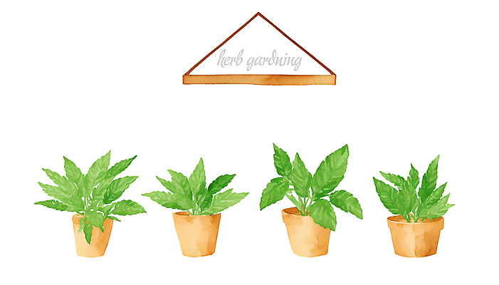 PSD 화분 일러스트 붓터치 수채화 선반 사람없음 풀 허브 원예 번짐 국내일러스트 식물 가구 취미 파일형식 효과