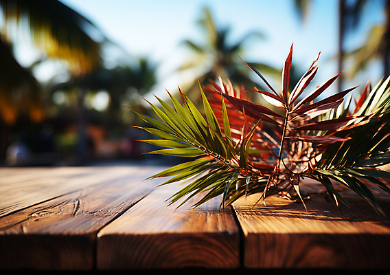 JPG 편집이미지 풍경 사람없음 여름 야자수 풀 열대식물 디지털합성 나무탁자 블러효과 편집소스 편집실사 AI포토 AI콘텐츠 나무 식물 계절 탁자 CG 블러 파일형식 효과