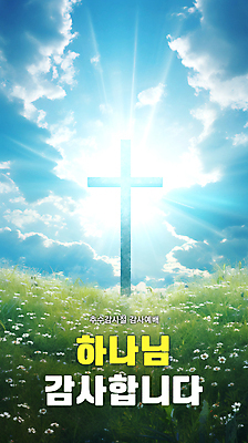 PSD 구름 편집이미지 배너 꽃 십자가 자연 하늘 풍경 잔디 초원 사람없음 햇빛 감사 예배 추수감사절 후광 이미지편집 자연요소 식물 감정 기독교 빛 태양 생태계 파일형식