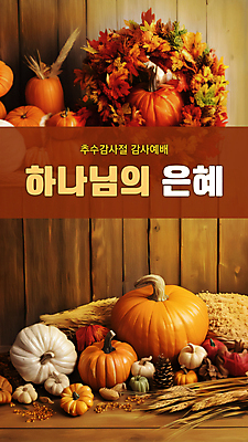 PSD 편집이미지 배너 단풍 호박 사람없음 갈색 벼 감사 예배 추수감사절 벼이삭 은혜 이미지편집 감정 기독교 컬러 잎 채소 곡류 이삭 파일형식