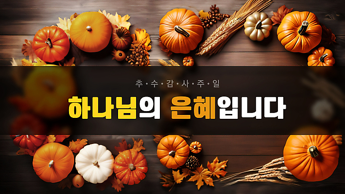 PSD 편집이미지 배너 단풍 낙엽 호박 사람없음 벼 감사 예배 나무바닥 추수감사절 벼이삭 은혜 이미지편집 감정 기독교 잎 채소 곡류 바닥 이삭 파일형식