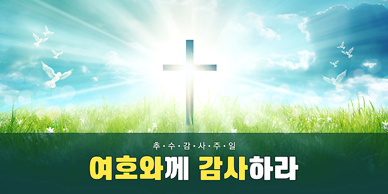 PSD 구름 편집이미지 배너 십자가 자연 하늘 풍경 잔디 초원 사람없음 빛 햇빛 맑음 비둘기 감사 예배 추수감사절 이미지편집 자연요소 식물 감정 기독교 조류 날씨 태양 생태계 파일형식