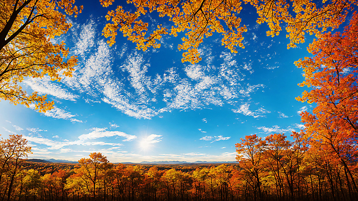 JPG 주간 구름 편집이미지 단풍 낙엽 자연 하늘 단풍나무 풍경 사람없음 햇빛 가을풍경 맑음 가을 숲 편집실사 AI포토 AI콘텐츠 자연요소 나무 계절 잎 날씨 태양 CG 생태계 파일형식 가을_계절