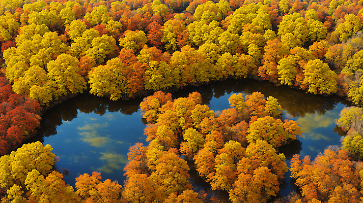 JPG 주간 편집이미지 단풍 낙엽 자연 단풍나무 풍경 사람없음 강 가을풍경 맑음 가을 숲 편집실사 AI포토 AI콘텐츠 자연요소 나무 계절 잎 날씨 CG 생태계 파일형식 가을_계절