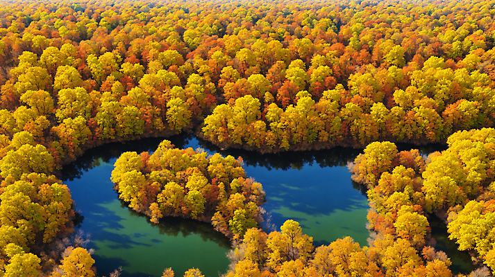 JPG 주간 편집이미지 단풍 낙엽 자연 단풍나무 풍경 사람없음 강 가을풍경 맑음 가을 숲 편집실사 AI포토 AI콘텐츠 자연요소 나무 계절 잎 날씨 CG 생태계 파일형식 가을_계절