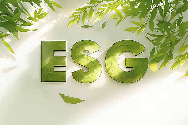 JPG 편집이미지 알파벳 나뭇잎 타이포그라피 사람없음 초록색 빛 디지털합성 에코 친환경 경영 편집소스 ESG 편집실사 AI컴퓨터그래픽 AI콘텐츠 문자 영어 컬러 잎 비즈니스 환경 CG 파일형식