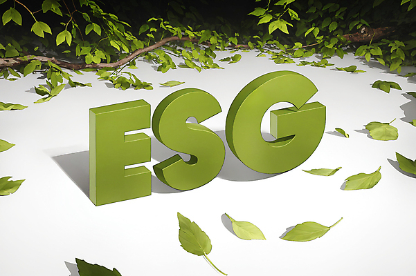 JPG 편집이미지 알파벳 나뭇잎 타이포그라피 사람없음 초록색 나뭇가지 디지털합성 에코 친환경 경영 편집소스 ESG 편집실사 AI컴퓨터그래픽 AI콘텐츠 나무 문자 영어 컬러 잎 비즈니스 환경 CG 파일형식